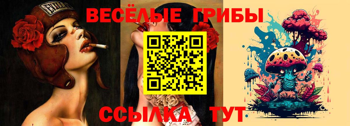 Псилоцибиновые грибы Psilocybe  Копейск  Псилоцибиновые грибы Cubensis 